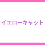 SMツーショットダイヤル「イエローキャット」でエロ通話できるのか試してみた