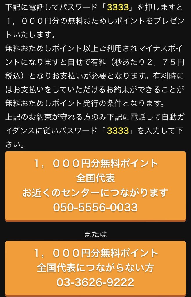 イエローキャット 画像